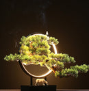 Zen Root Art Pine Bonsai Plant Home Decor, iBuyXi.com