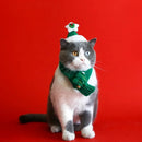 Pet Christmas Accessories