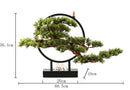 Zen Root Art Pine Bonsai Plant Home Decor, iBuyXi.com