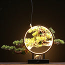 Zen Root Art Pine Bonsai Plant Home Decor, iBuyXi.com