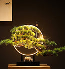 Zen Root Art Pine Bonsai Plant Home Decor, iBuyXi.com