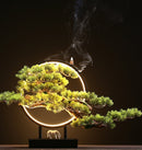 Zen Root Art Pine Bonsai Plant Home Decor, iBuyXi.com