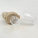 Fillable Baby Teething Feeder Pacifier