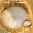 Wicker Dinosaur Cat Tower