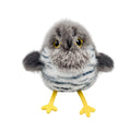 Chirping and Flapping Bird Interactive Cat Toys