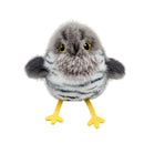 Chirping and Flapping Bird Interactive Cat Toys