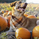 Classic Plaid Large Dog Bandanas