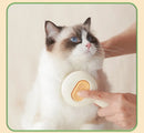 Click Clean Cat Brush