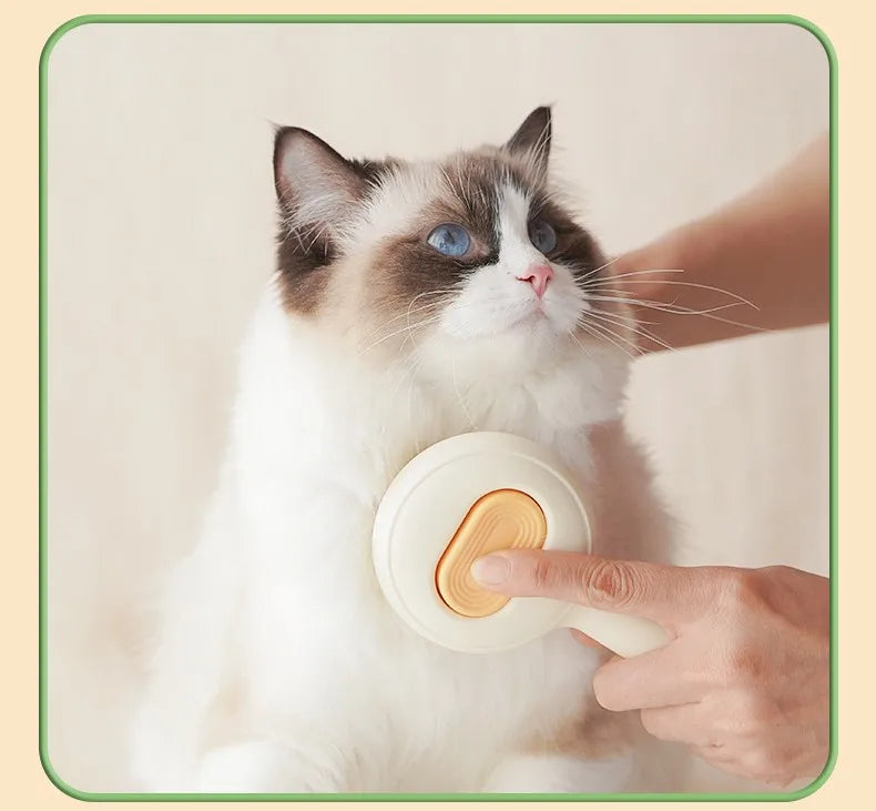 Click Clean Cat Brush