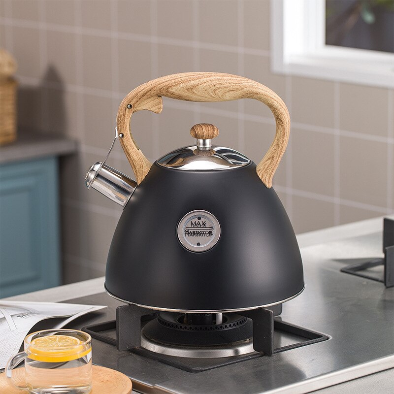 2.5L Whistling Stainless Steel Tea Kettle, iBuyXi.com