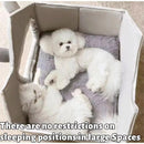 All Season Dog House Style Bed - Removable Washable Pet Bed for Small Dogs Teddy