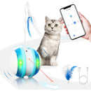 App-Controlled Smart Cat Ball