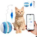 App-Controlled Smart Cat Ball