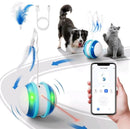 App-Controlled Smart Cat Ball
