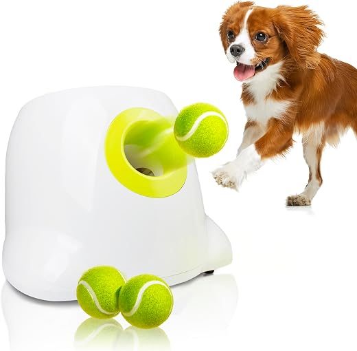 Automatic Dog Ball Launcher