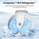 Automatic Timed Pet Food Dispenser
