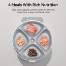 Automatic Timed Pet Food Dispenser