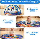 Baby Play Gym Activity Mat