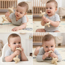 Baby Teething Rattle 3-in-1 Silicone Teether