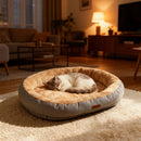 Calming Pet Bed for Cats and Small Dogs