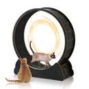 Cat Exercise Wheel