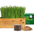 Cat Grass Growing Kit