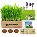 Cat Grass Growing Kit
