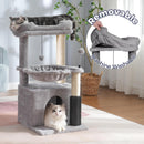 Compact Multi-Level Cat Tree Tower with Condo