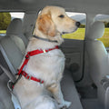 Crash-Tested Dog Car Safety Harness