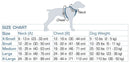 Crash-Tested Dog Car Safety Harness