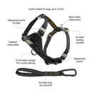 Crash-Tested Dog Car Safety Harness