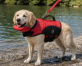 Dog Life Jacket Vest with Rescue Handle