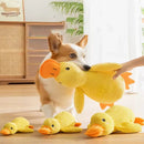 Dog sleeping with a dog hug duck toys to relieve boredom of little yellow duck p