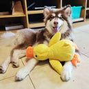 Dog sleeping with a dog hug duck toys to relieve boredom of little yellow duck p
