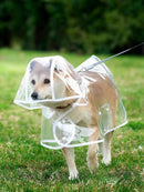 Dogs Going Out, Transparent Waterproof Raincoat with Hat Pet Raincoat