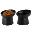 Elevated Tilted Ceramic Cat Bowls Set