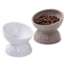 Elevated Tilted Ceramic Cat Bowls Set