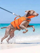 High Buoyancy Dog Life Jacket Adjustable Safety Flotation Vest For Small Medium