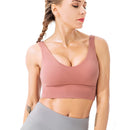 High-Support Sports Bra (Women's)