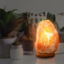 Himalayan Salt Lamp with Dimmer Switch