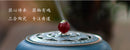 Incense set play incense seal incense spoon incense sweep incense press ceramic incense burner tea ceremony accessories set- ibuyxi.com