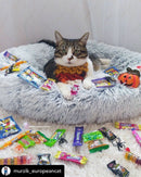 Snowflake White Two Tone - Mr. Peanut's 28" OrthoPlush® Pet Bed
