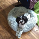 Snowflake White Two Tone - Mr. Peanut's 28" OrthoPlush® Pet Bed