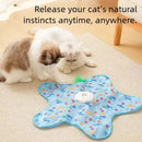 Interactive Cat Toy Mat with Teaser Stick