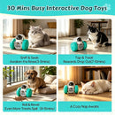 Interactive Robot Treat Dispensing Dog Toy
