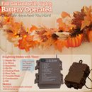 Lighted Fall Harvest Garland 10FT