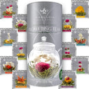 Blooming Tea Gift Set — Glass Teapot, Warmer, 4 Cups, 12 Flowering Teas