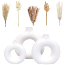 VELOVA Ceramic Vase Set of 3 with 65pc Pampas Grass