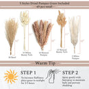 VELOVA Ceramic Vase Set of 3 with 65pc Pampas Grass