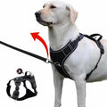 No-Pull Reflective Dog Harness with Front Clip